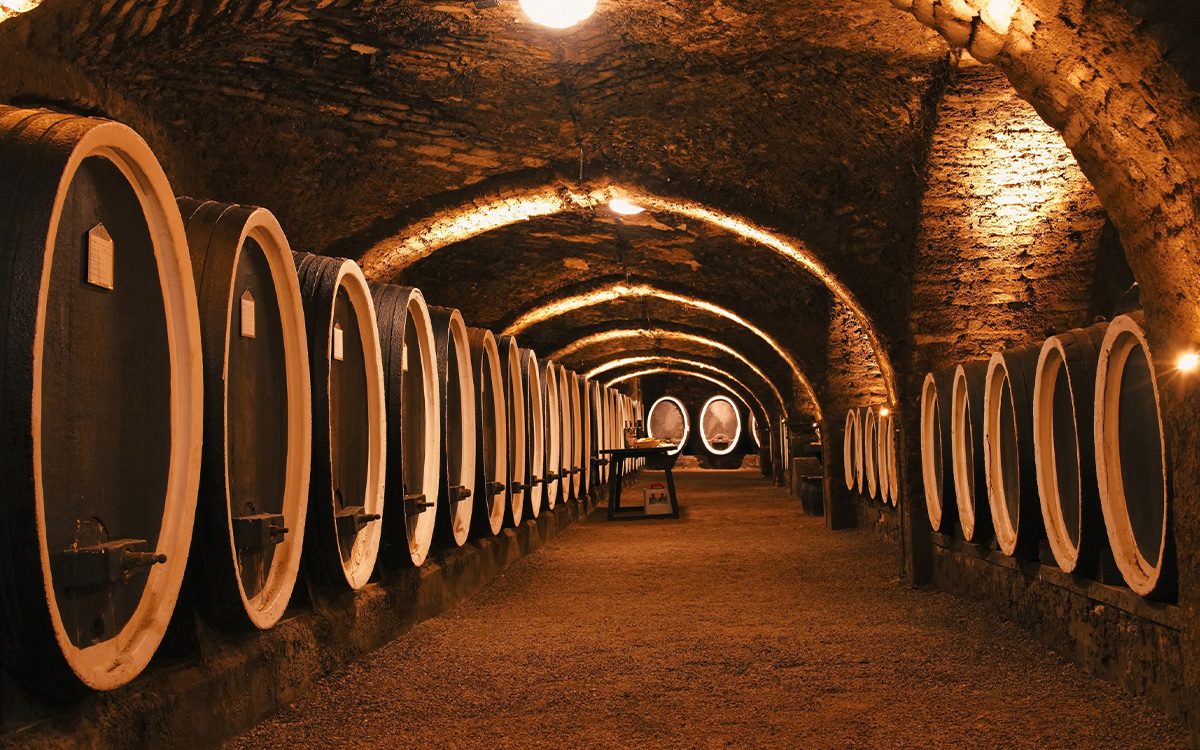 Vino